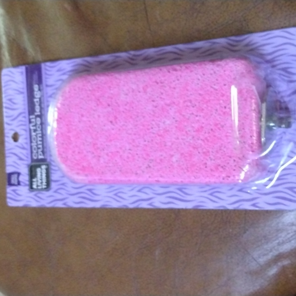 All living things small Animal colorful pumice ledge